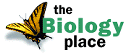 The Biology Place- click here